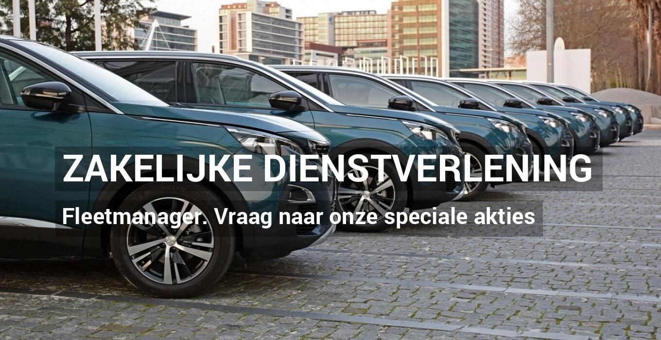 BANDEN VOOR BEDRIJFSAUTO`S BEDRIJFSWAGENBANDEN